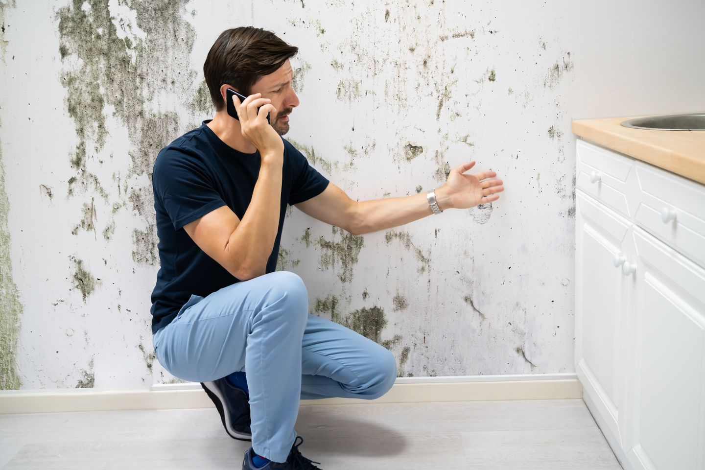 Professionelle Schimmelsanierung in Hamburg & Norddeutschland